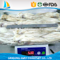 Congelado Illex Argentinus Squid Cabeza de diferentes tamaños disponibles